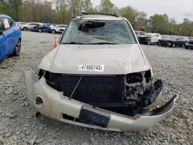 Photo 5 from auction – 2008 FORD ESCAPE XLT with VIN 1FMCU031X8KC39802