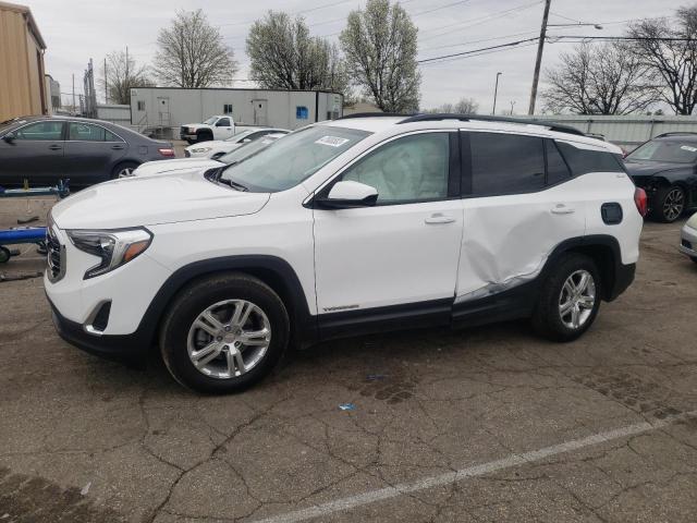 GMC TERRAIN SL 2020 with VIN 3GKALMEV6LL184816 - Photo from auction