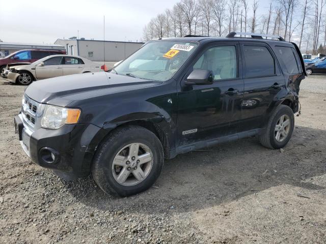 FORD ESCAPE HEV 2008 with VIN 1FMCU59H48KE61088 - Photo from auction