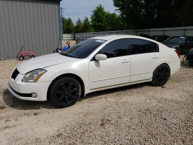 NISSAN MAXIMA SE 2006 with VIN 1N4BA41E86C860832 - Photo from auction