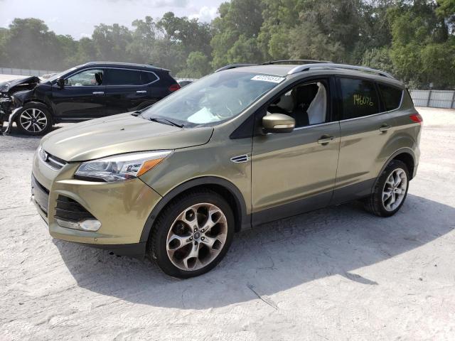 FORD ESCAPE TIT 2013 with VIN 1FMCU0J96DUD02692 - Photo from auction