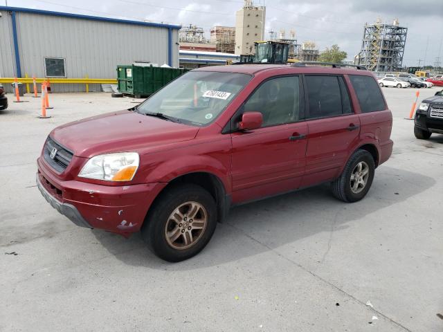 HONDA PILOT EX 2005 with VIN 5FNYF18445B062217 - Photo from auction