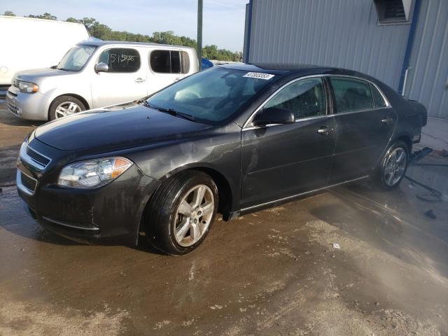 CHEVROLET MALIBU 2LT 2010 with VIN 1G1ZD5EB0AF305511 - Photo from auction