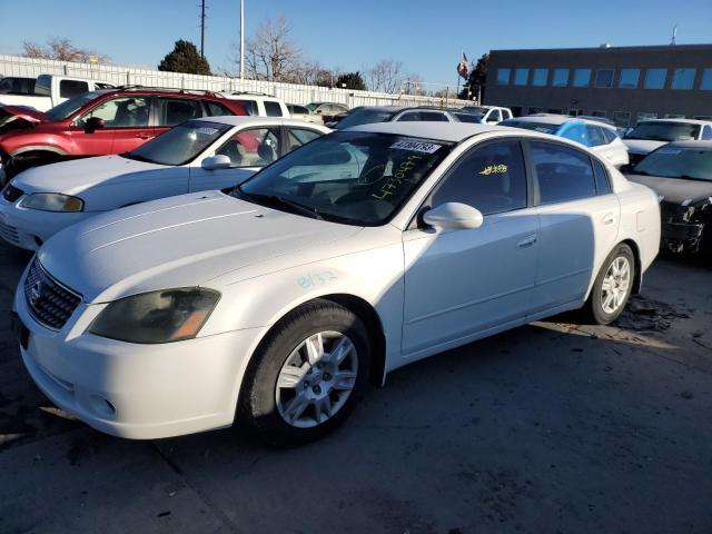 NISSAN ALTIMA S 2005 with VIN 1N4AL11D75C173786 - Photo from auction
