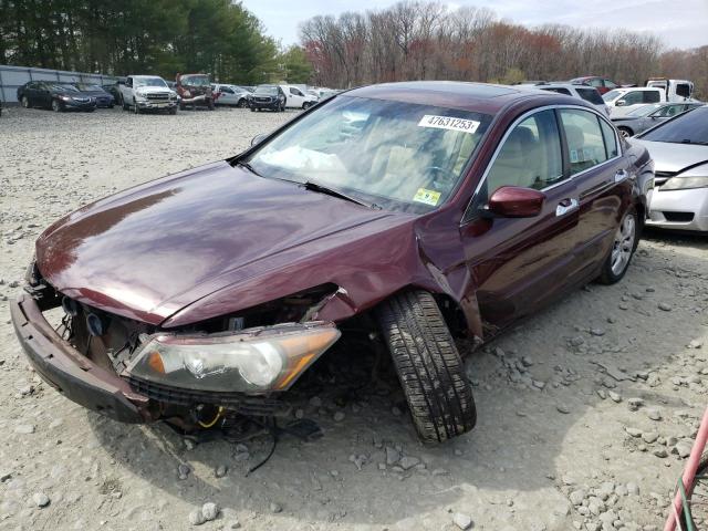 HONDA ACCORD EXL 2010 with VIN 5KBCP3F84AB010994 - Photo from auction