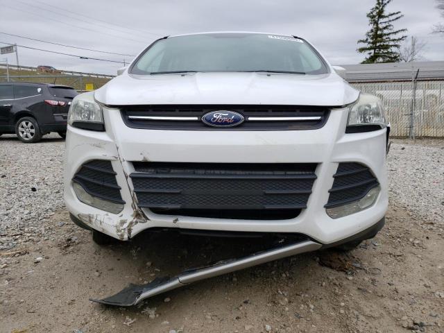 Photo 5 from auction – 2014 FORD ESCAPE SE with VIN 1FMCU0GX0EUE55835