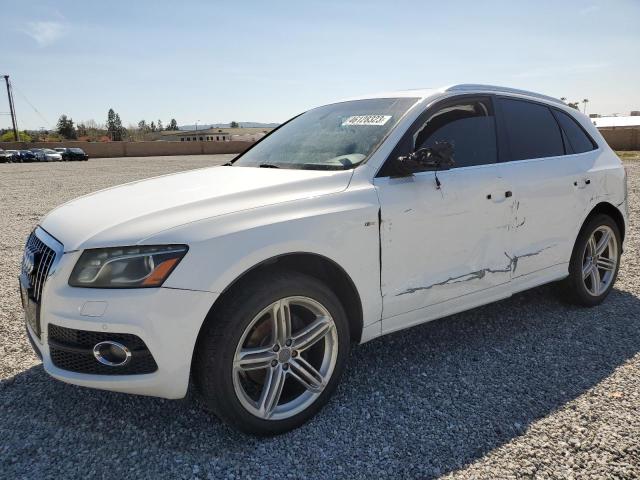 AUDI Q5 PREMIUM 2010 with VIN WA1MKAFP1AA039594 - Photo from auction