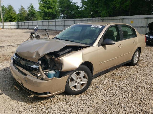 CHEVROLET MALIBU LS 2004 with VIN 1G1ZT52834F189236 - Photo from auction
