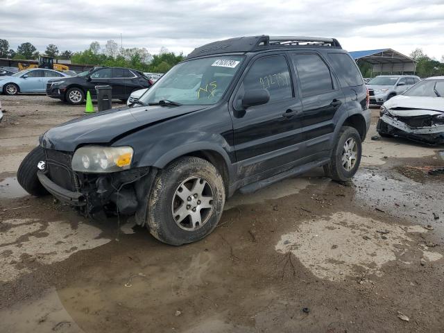 FORD ESCAPE XLT 2005 with VIN 1FMYU03185KB35519 - Photo from auction