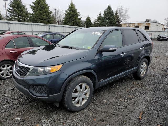 KIA SORENTO LX 2013 with VIN 5XYKTDA68DG377069 - Photo from auction