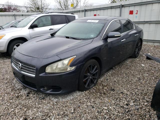 NISSAN MAXIMA S 2010 with VIN 1N4AA5AP2AC821262 - Photo from auction