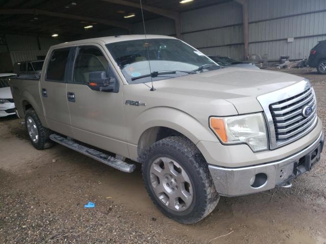Photo 4 from auction – 2010 FORD F150 SUPER with VIN 1FTFW1EVXAFB75602