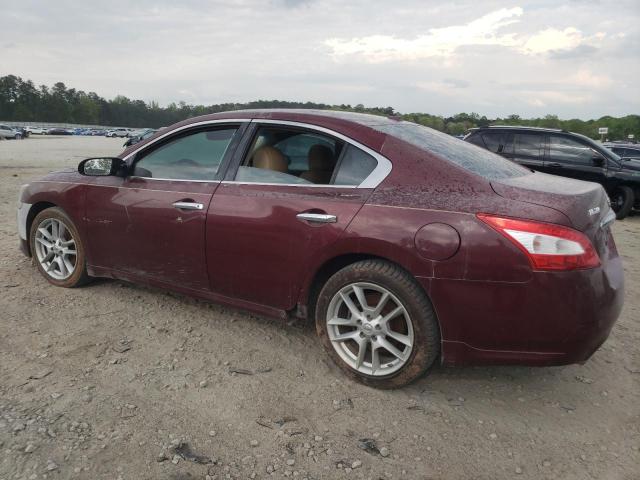 Photo 2 from auction – 2010 NISSAN MAXIMA S with VIN 1N4AA5AP8AC841533