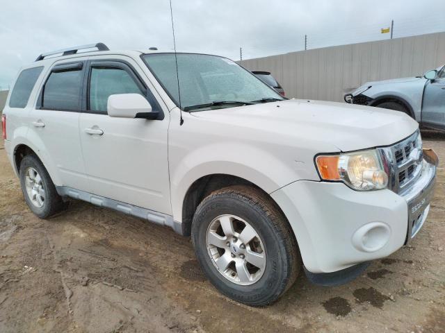 Photo 4 from auction – 2009 FORD ESCAPE LIM with VIN 1FMCU94G29KB61850