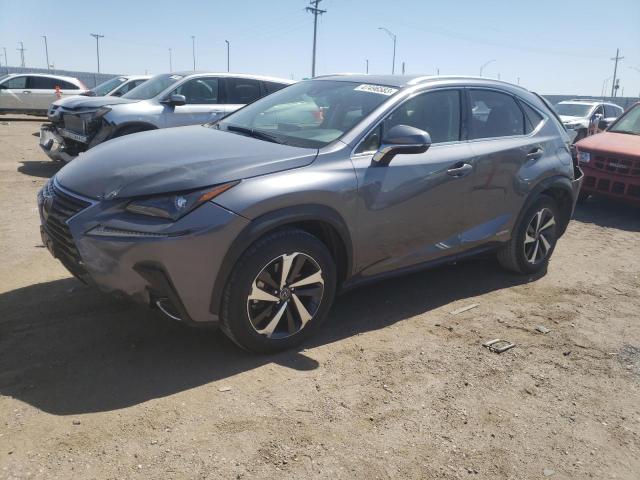 LEXUS NX 300H 2020 with VIN JTJGJRDZ3L2135262 - Photo from auction
