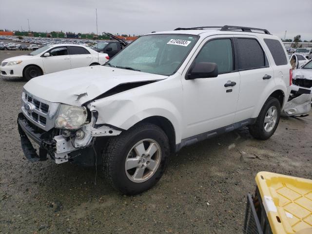 FORD ESCAPE XLT 2011 with VIN 1FMCU0D74BKB47448 - Photo from auction