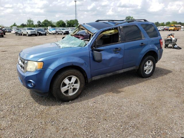 FORD ESCAPE XLT 2009 with VIN 1FMCU03G69KA52272 - Photo from auction