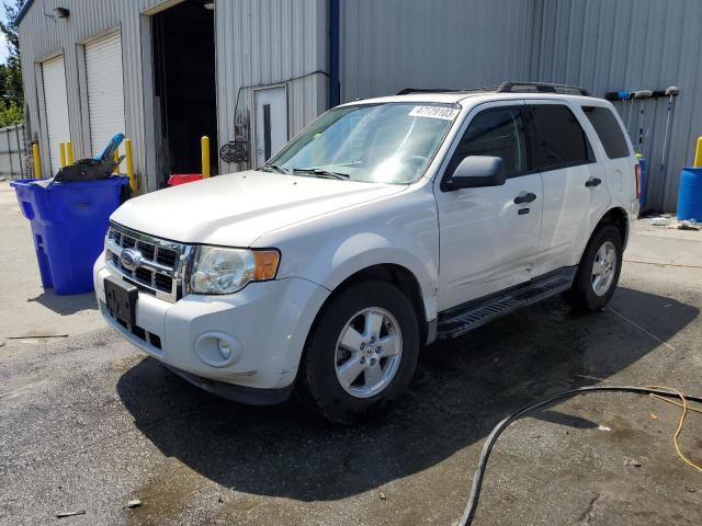 FORD ESCAPE XLT 2009 with VIN 1FMCU03709KB71130 - Photo from auction