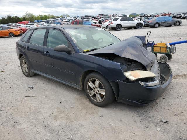 CHEVROLET MALIBU MAX 2005 with VIN 1G1ZT62875F135915 - Photo from auction