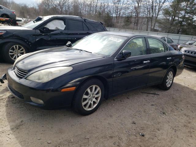 LEXUS ES 330 2004 with VIN JTHBA30G145043970 - Photo from auction