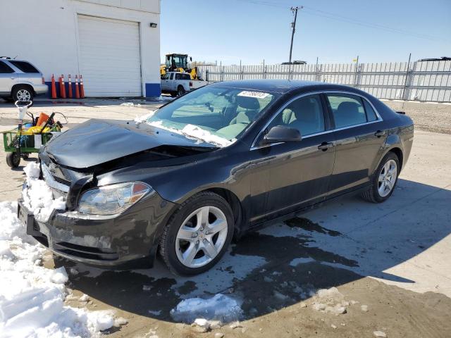 CHEVROLET MALIBU LS 2011 with VIN 1G1ZB5E11BF219641 - Photo from auction