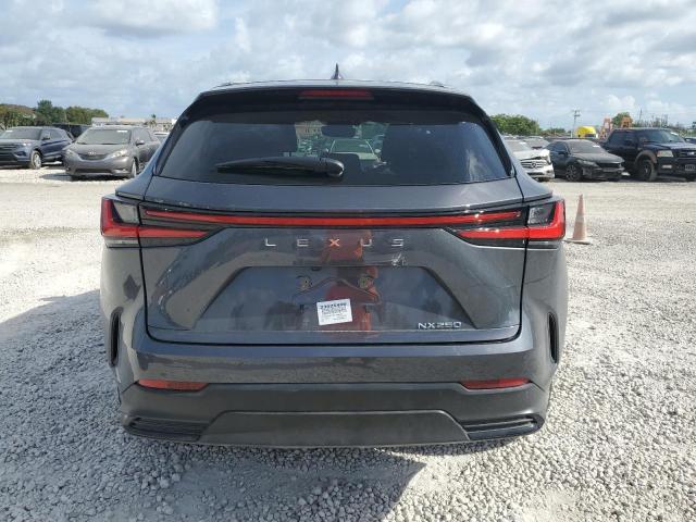 Photo 6 from auction – 2023 LEXUS NX 250 with VIN 2T2GDCAZ3PC003424