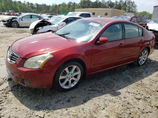 NISSAN MAXIMA SE 2008 with VIN 1N4BA41E78C816341 - Photo from auction