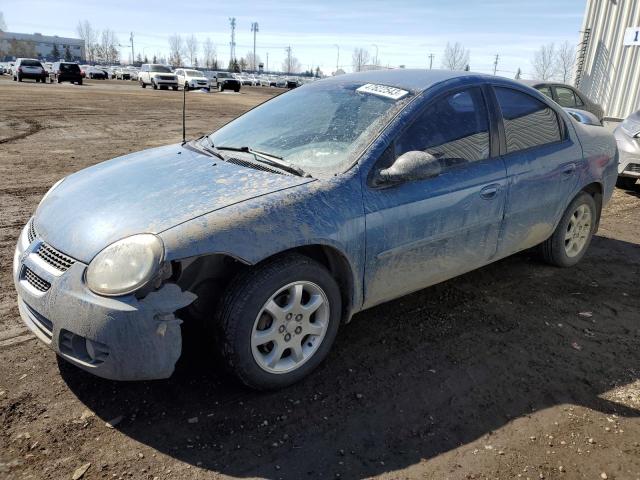 DODGE NEON SX 2. 2003 with VIN 1B3ES46C63D137550 - Photo from auction
