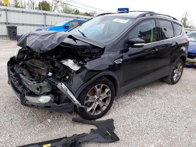 FORD ESCAPE SEL 2013 with VIN 1FMCU0H93DUC59693 - Photo from auction