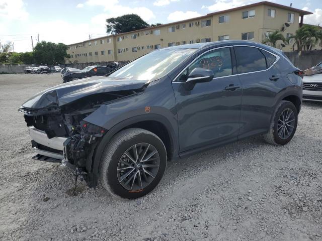 LEXUS NX 250 2023 with VIN 2T2GDCAZ3PC003424 - Photo from auction
