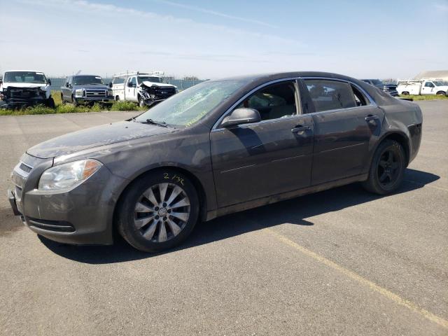 CHEVROLET MALIBU LS 2012 with VIN 1G1ZA5E01CF386982 - Photo from auction