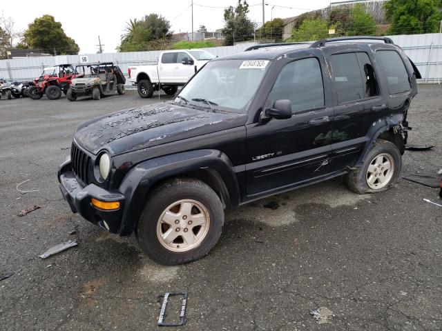 JEEP LIBERTY LI 2003 with VIN 1J4GL58K43W689481 - Photo from auction