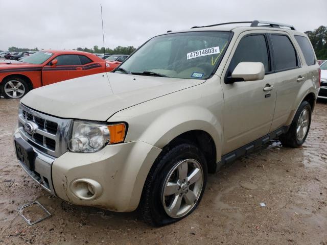 FORD ESCAPE LIM 2010 with VIN 1FMCU0EG9AKB31579 - Photo from auction