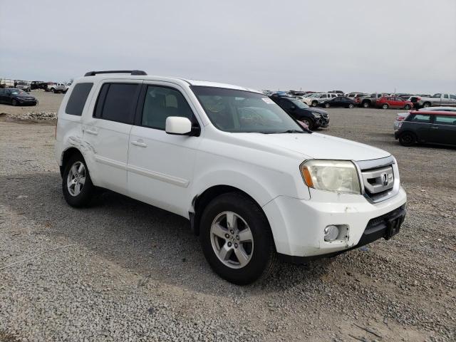 صورة رقم 4 من المزاد - 2009 HONDA PILOT EXL مع VIN 5FNYF48699B022904