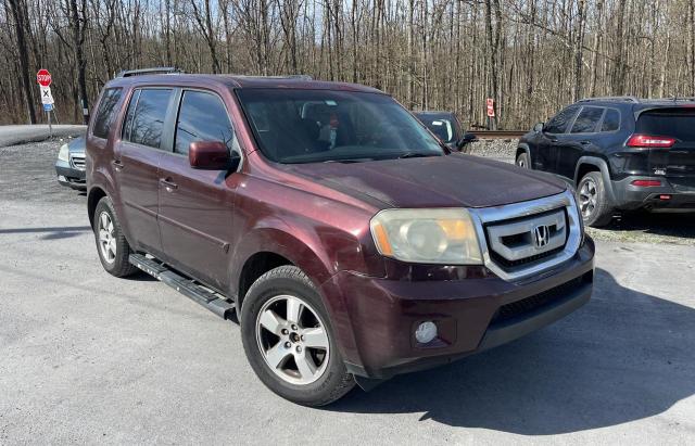 HONDA PILOT EXL 2011 with VIN 5FNYF4H60BB041444 - Photo from auction