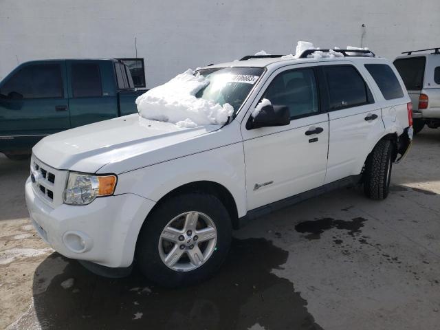 FORD ESCAPE HYB 2011 with VIN 1FMCU5K34BKC19701 - Photo from auction