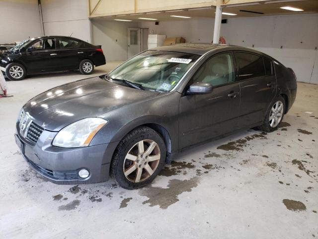 NISSAN MAXIMA SE 2006 with VIN 1N4BA41E46C807528 - Photo from auction