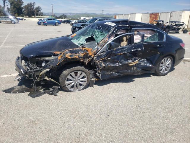 HONDA ACCORD EX 2011 with VIN 1HGCP2F74BA153729 - Photo from auction