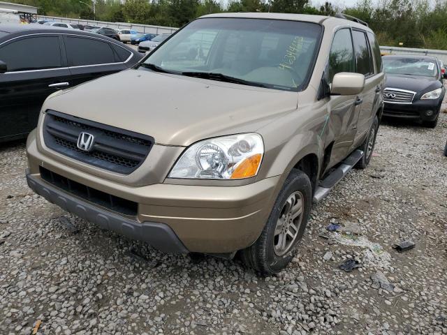 HONDA PILOT EXL 2005 with VIN 5FNYF18595B067616 - Photo from auction