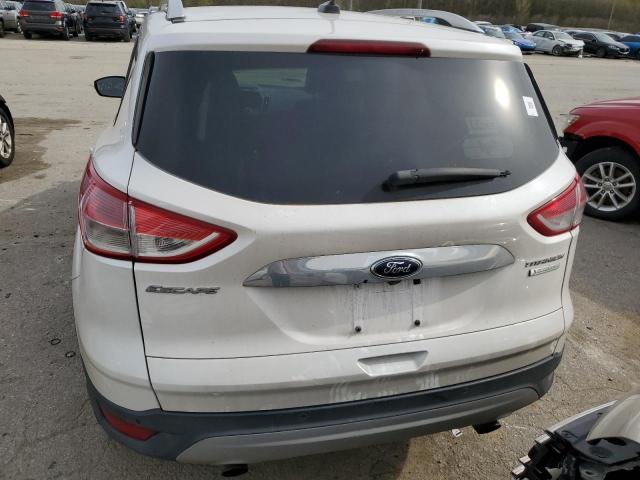 Photo 6 from auction – 2014 FORD ESCAPE TIT with VIN 1FMCU0JX6EUD79529