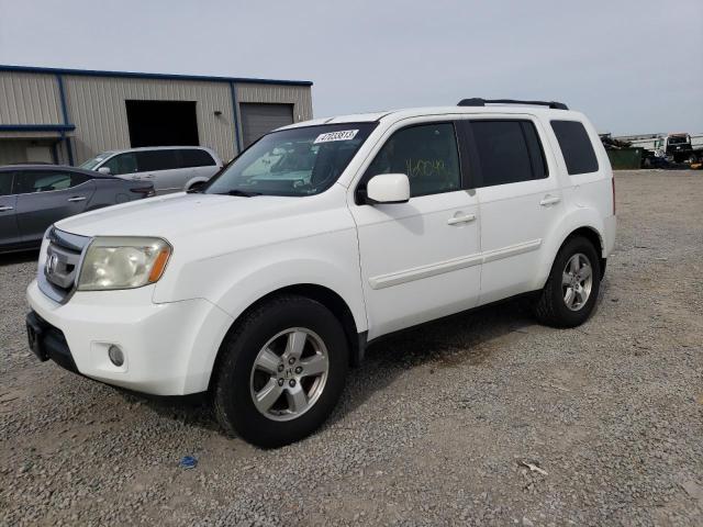 HONDA PILOT EXL 2009 with VIN 5FNYF48699B022904 - Photo from auction