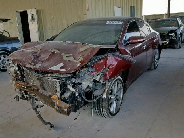 Photo 2 from auction – 2010 NISSAN MAXIMA S with VIN 1N4AA5AP6AC866043