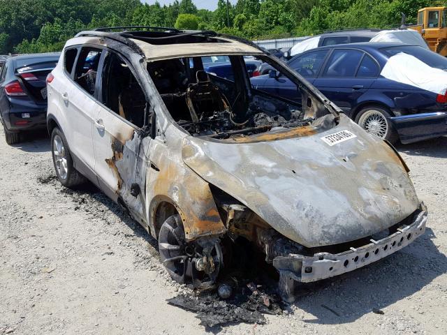 FORD ESCAPE TIT 2014 with VIN 1FMCU0JX1EUE07723 - Photo from auction