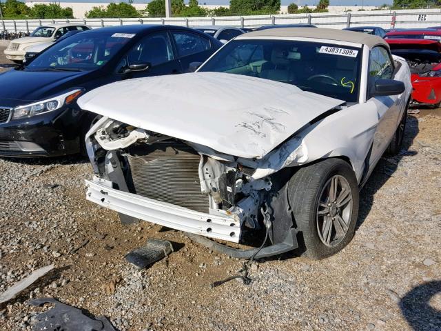 Photo 2 from auction – 2011 FORD MUSTANG with VIN 1ZVBP8EM3B5117864