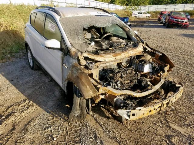FORD ESCAPE SEL 2018 with VIN 1FMCU9HD1JUA90956 - Photo from auction