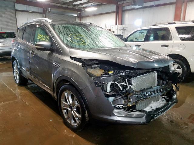 FORD ESCAPE TIT 2014 with VIN 1FMCU0JX1EUD70754 - Photo from auction