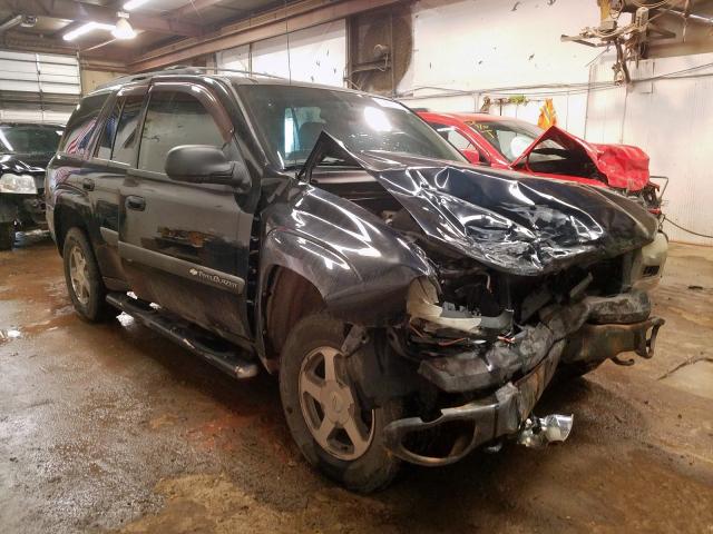 CHEVROLET TRAILBLAZE 2004 with VIN 1GNDT13S142349228 - Photo from auction