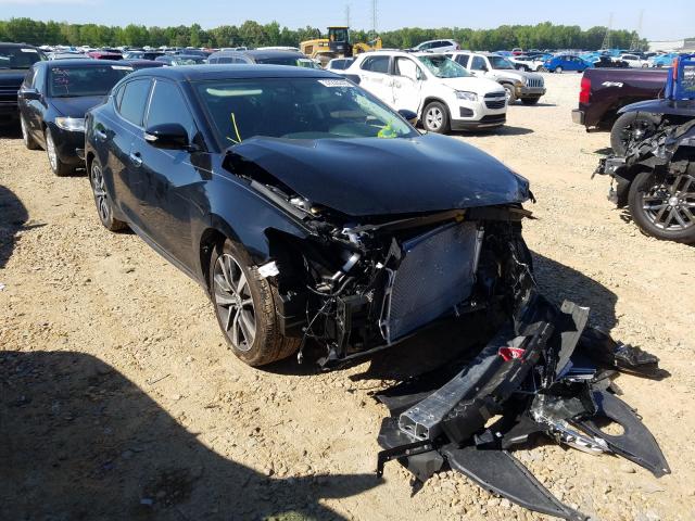 NISSAN MAXIMA S 2019 with VIN 1N4AA6AV3KC380831 - Photo from auction