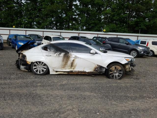 Photo 10 from auction – 2014 KIA CADENZA PR with VIN KNALN4D74E5132280