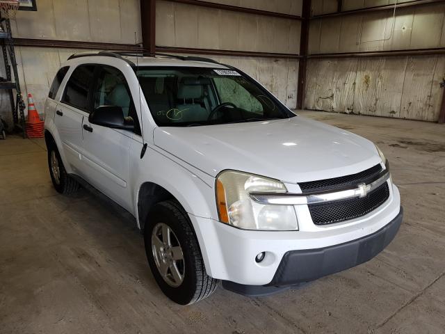 CHEVROLET EQUINOX LS 2005 with VIN 2CNDL23F356058733 - Photo from auction